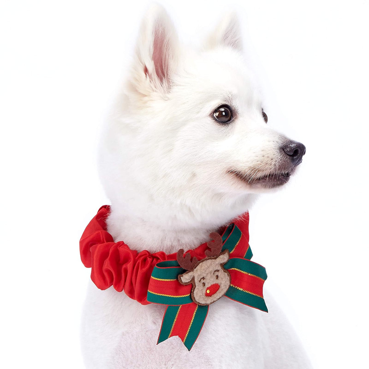 Blueberry Pet Animal Collar, One Size, Reindeer