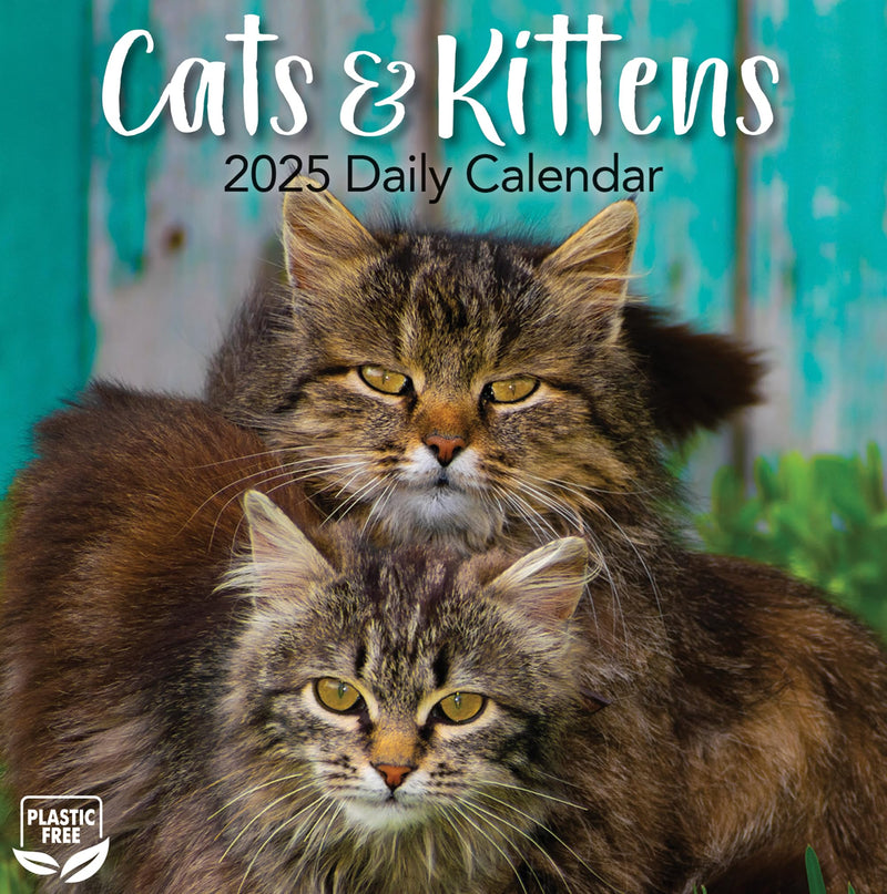 TURNER PHOTOGRAPHIC Cats & Kittens Photo Box Calendars (25998053101)