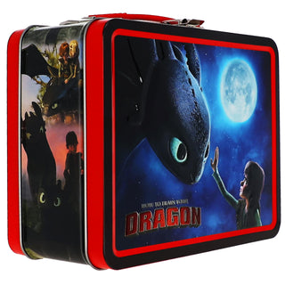 AQUARIUS Storage Box, One Size, How to Train Your Dragon