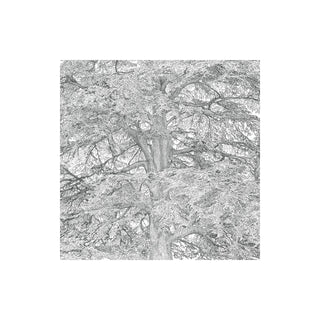 Paperproducts Design Disposable Napkin, 5 inch, Multicolor
