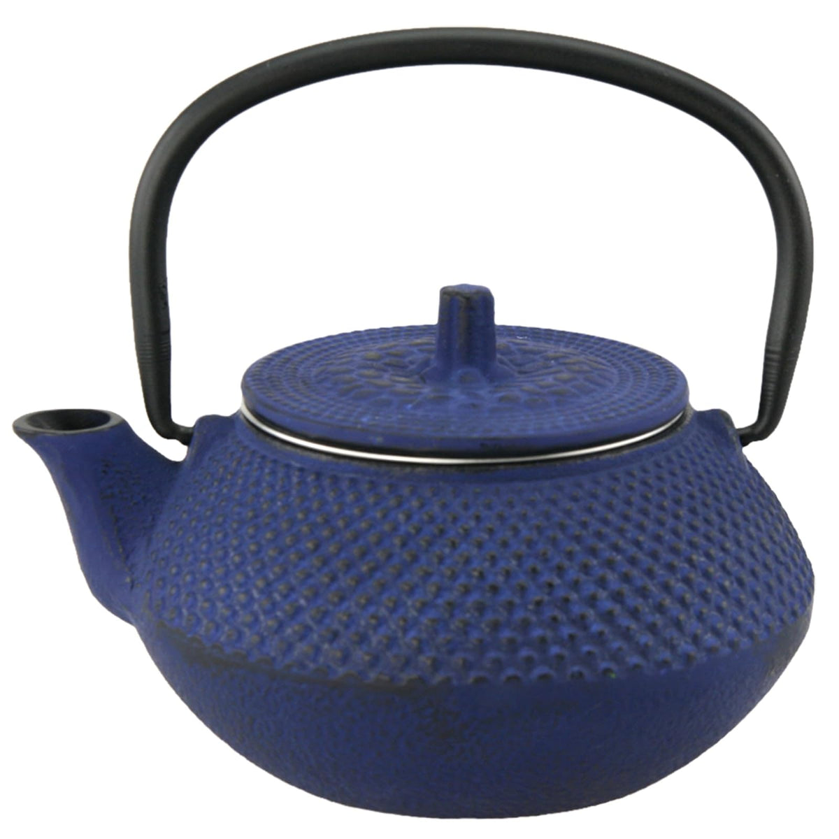 Creative Home Teapot, 10 oz., Blue