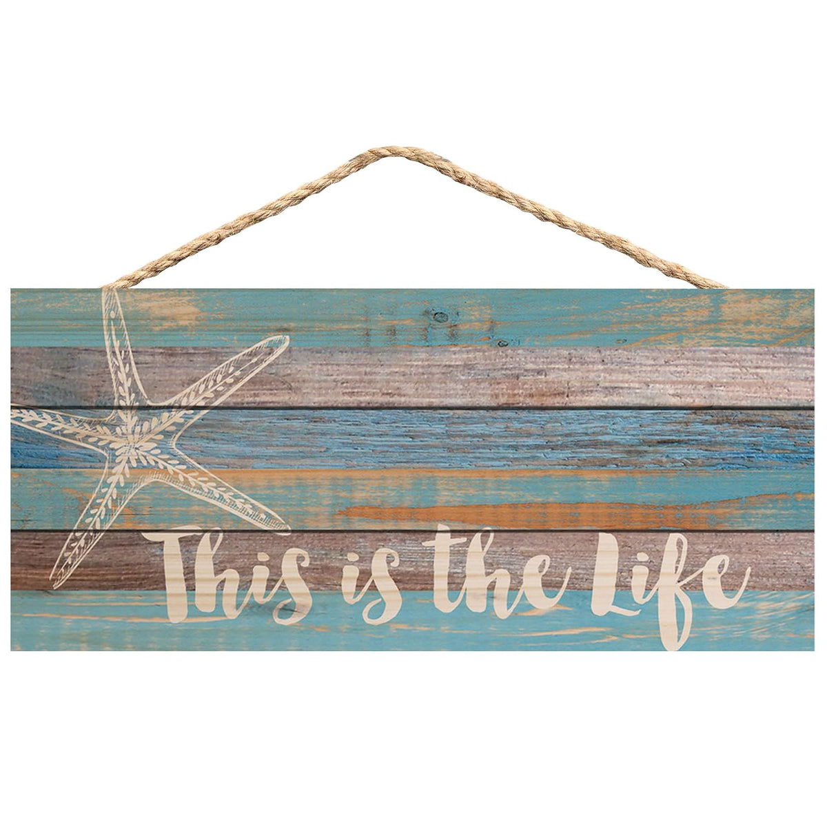P. Graham Dunn Decorative Signage, 10 x 4.5, Blue
