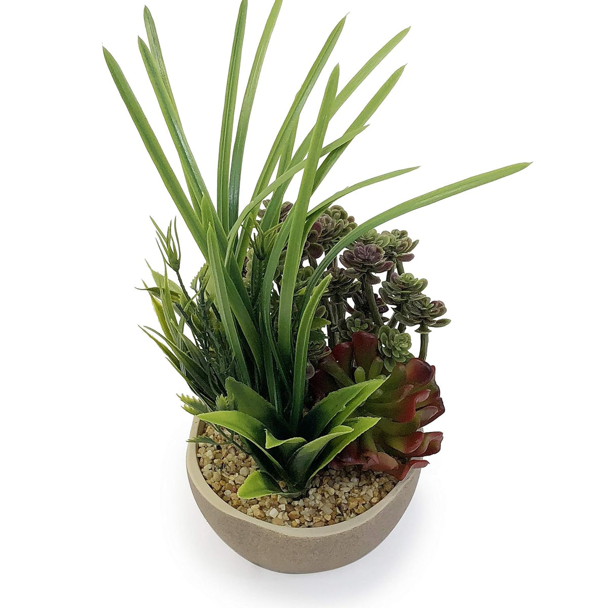 allgala Artificial Plant, 10 inches height x 5 inches diameter, Combo Crassula