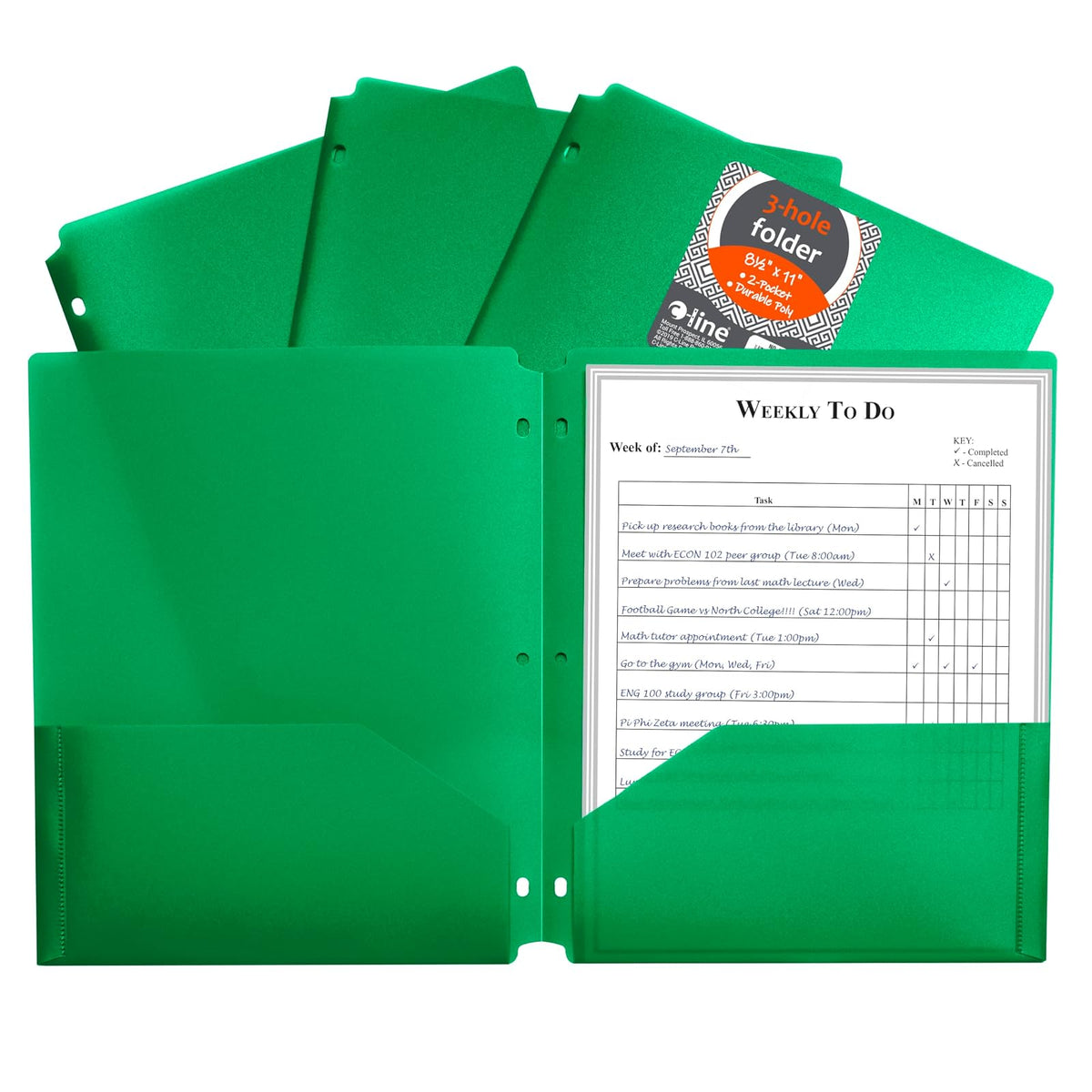 C-Line File Folder, Box of 25, Green