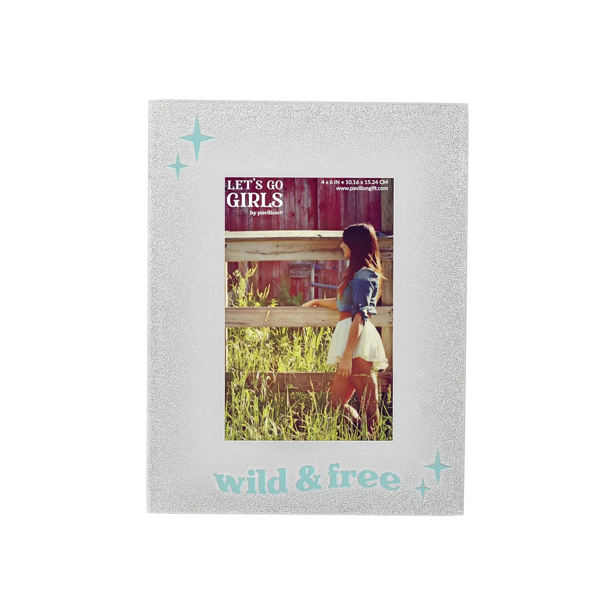 Pavilion Gift Company Picture Frame
