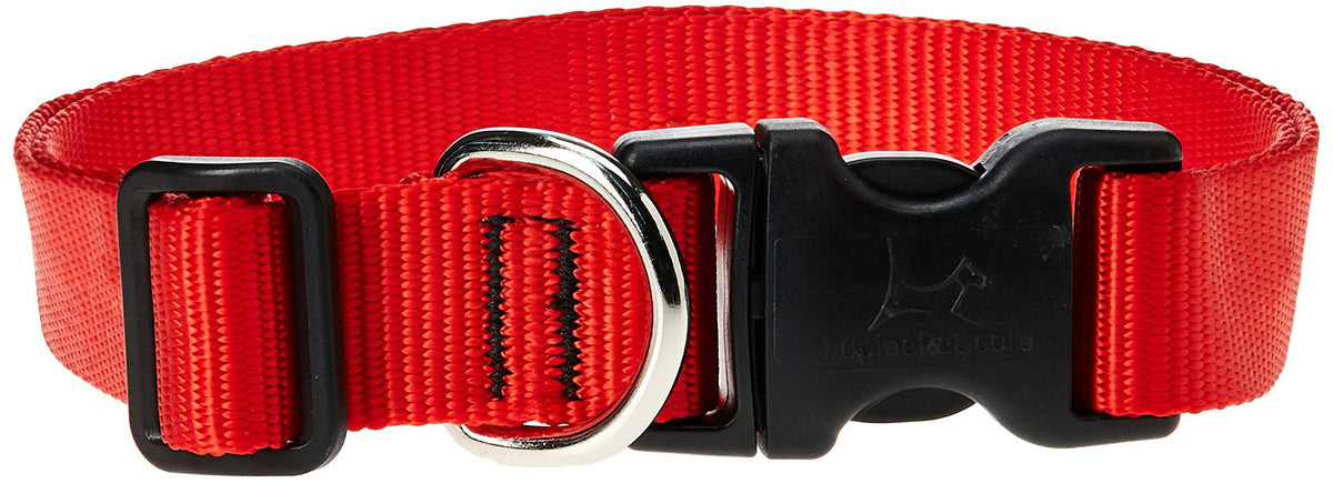 LupinePet Animal Collar
