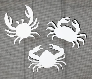 DCentral Decorative Magnet, 5" x 4", White