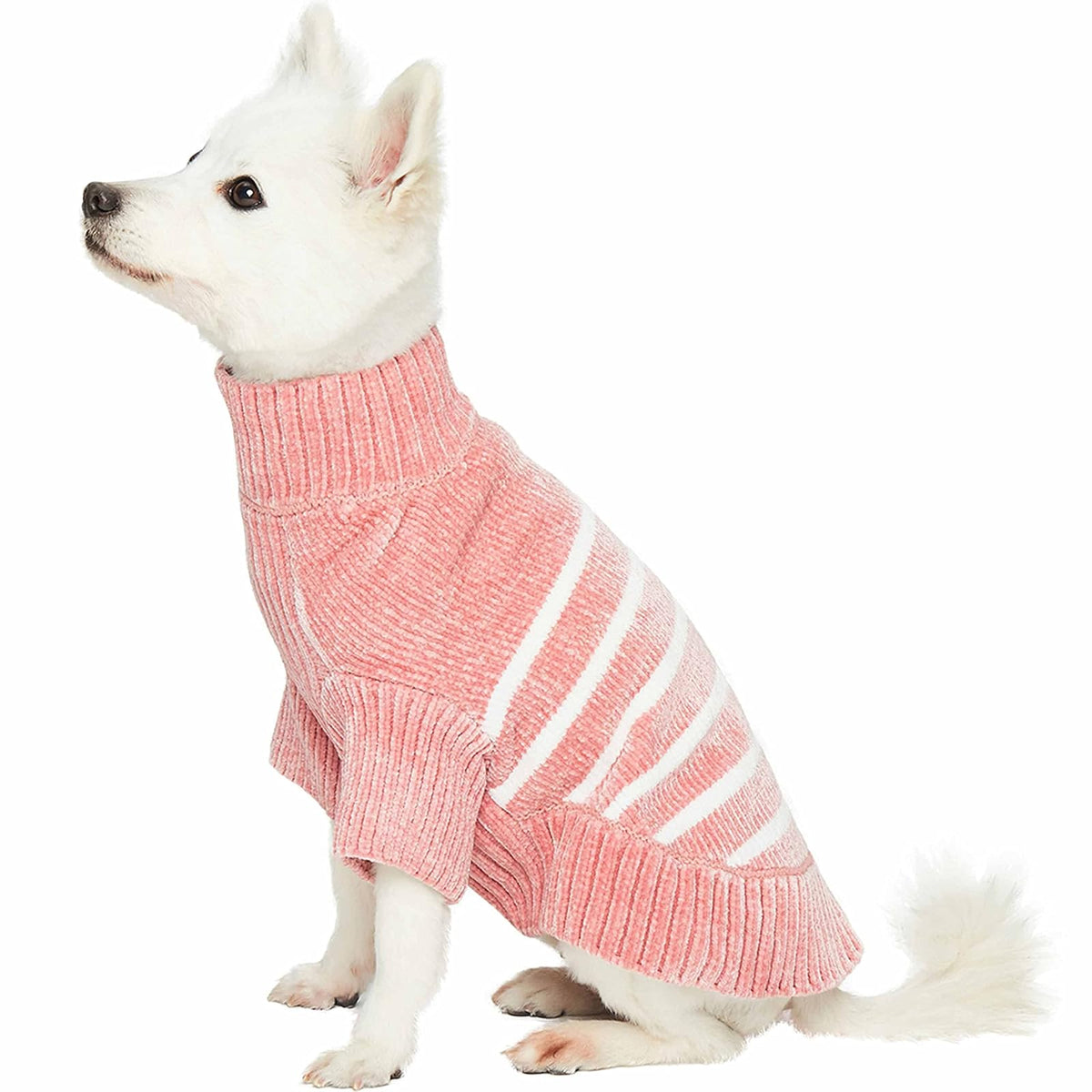 Blueberry Pet Pet Apparel
