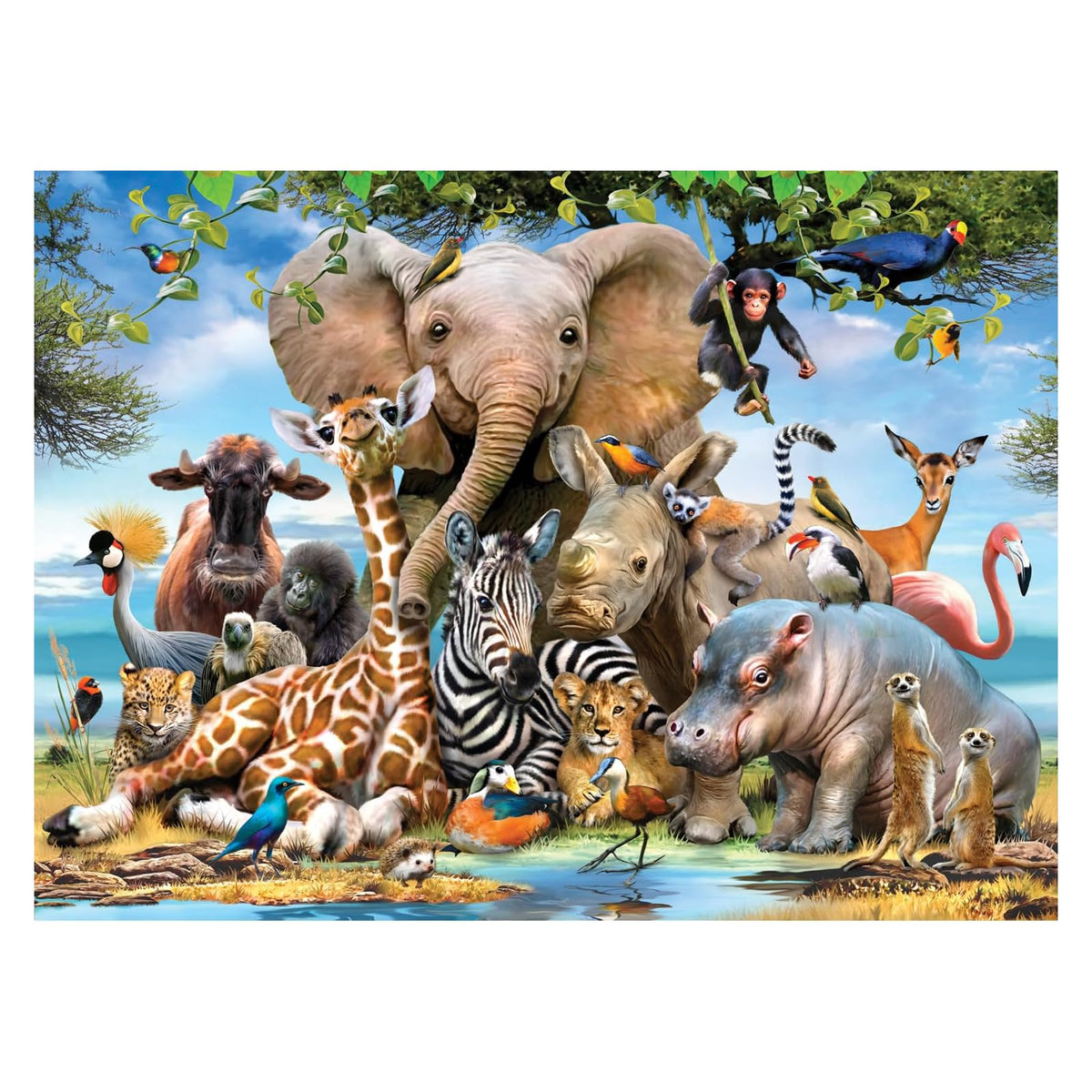 Anatolian Puzzles, 1000, Africa Smile