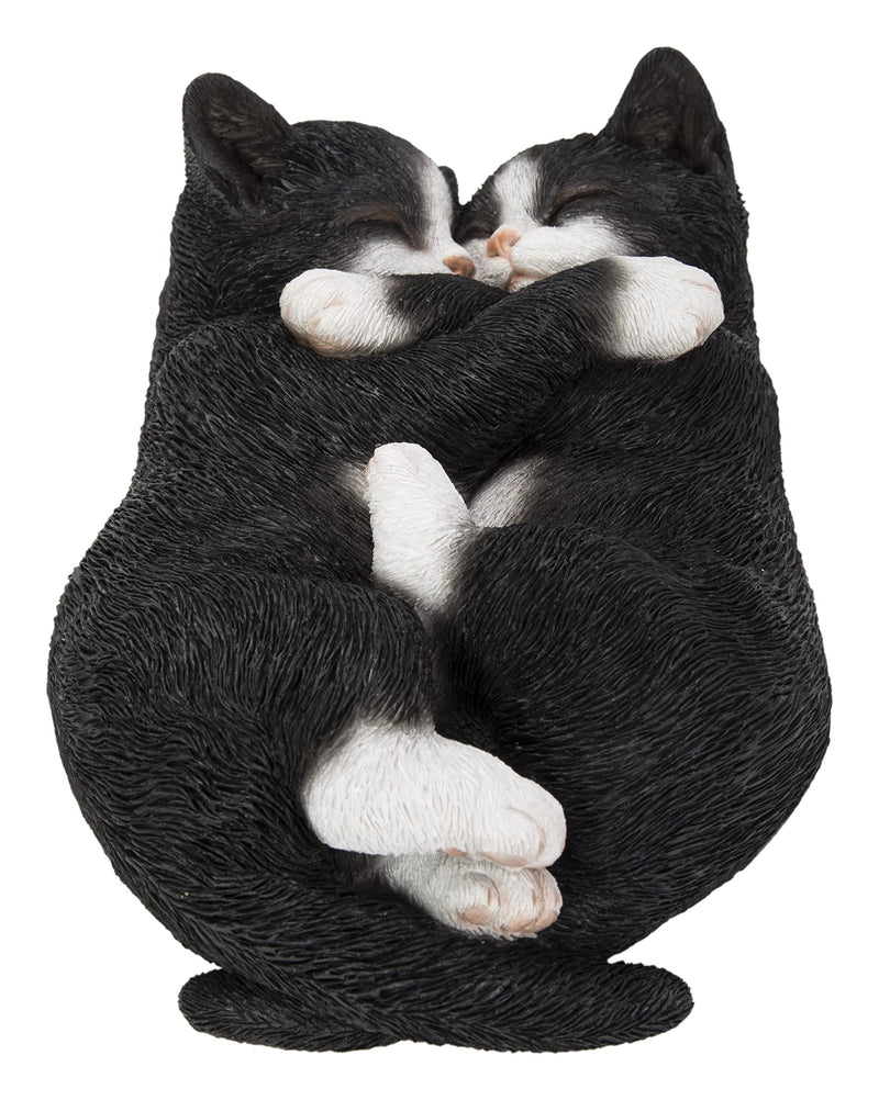 Sleeping Couple Cats - Black and White