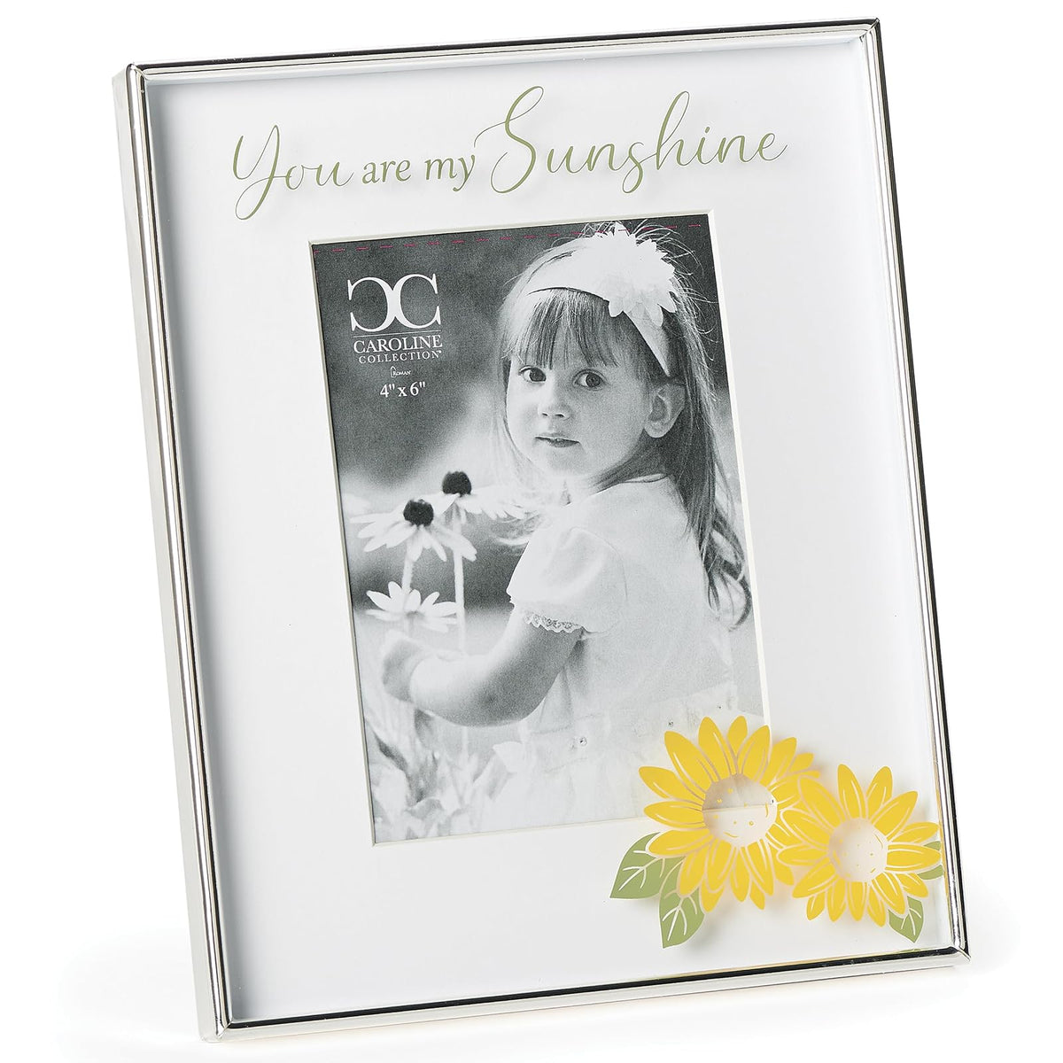 Roman Picture Frame, Silver