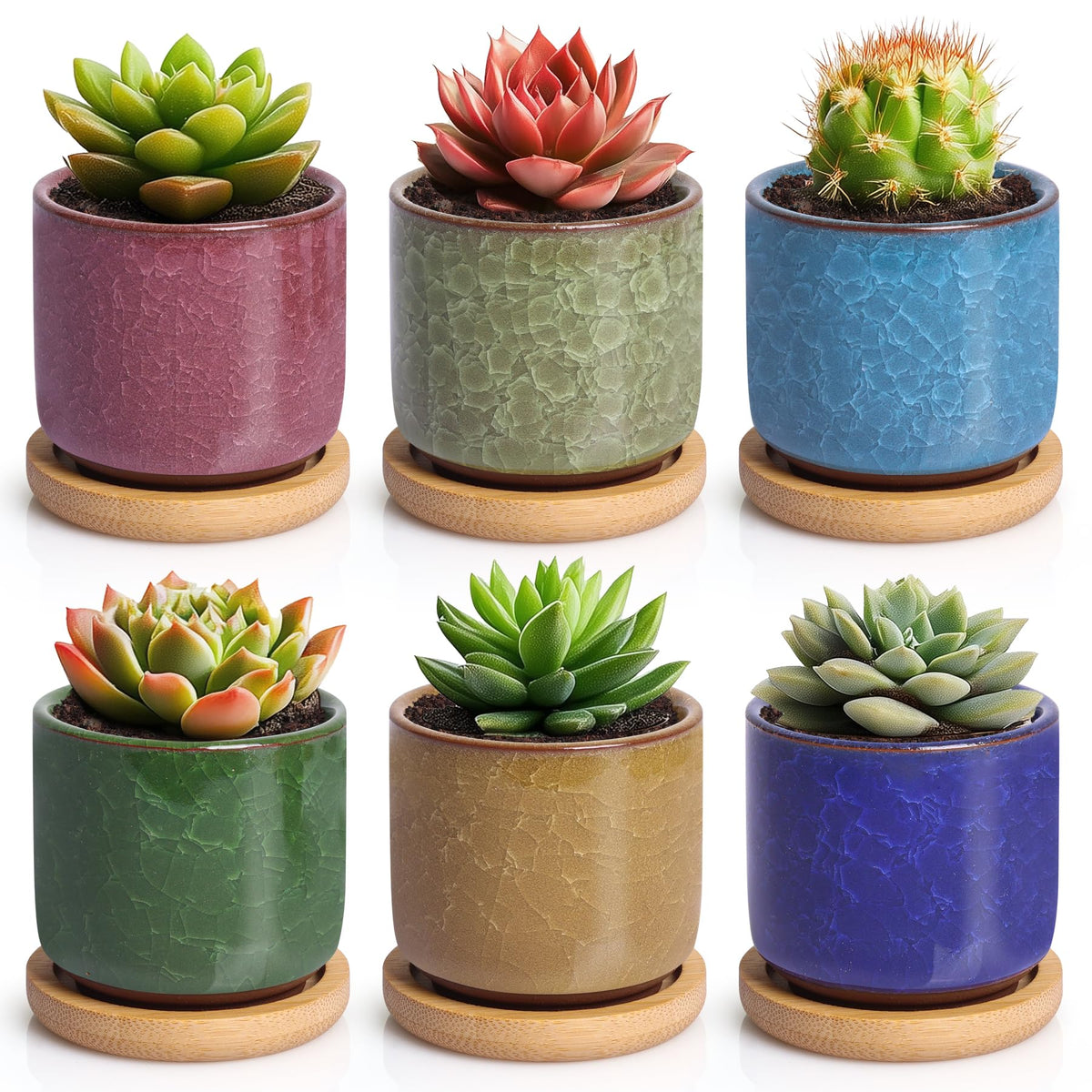 Planter by T4U