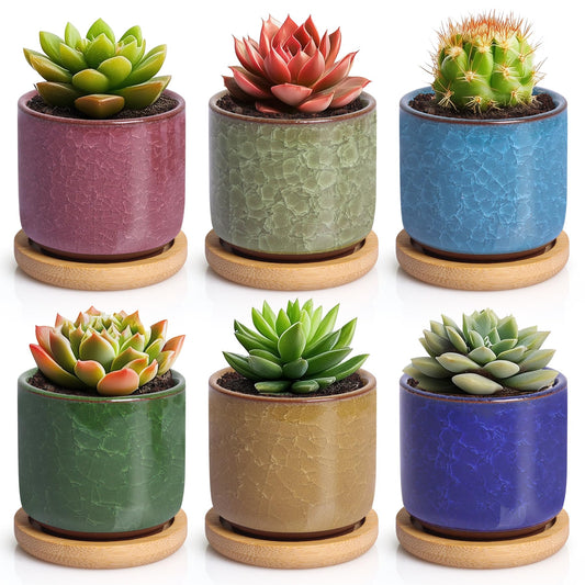 Planter by T4U