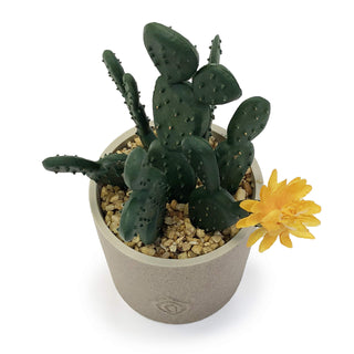 allgala Artificial Plant, 7 Inch Heightx 3 Inch Diameter, Cactus