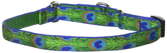 Lupine Pet Originals 3/4" Tail Feathers 14-20" Martingale Collar for Medium and Larger Dogs
