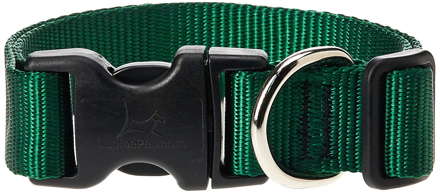 Lupine Pet Basics 1" Green 12-20" Adjustable Collar for Medium and Larger Dogs