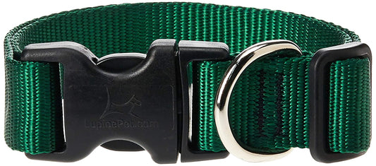 Lupine Pet Basics 1" Green 12-20" Adjustable Collar for Medium and Larger Dogs