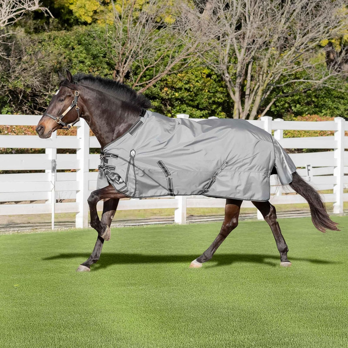 Equinavia Pet Apparel, 81 in, Carbon Gray
