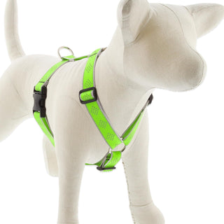 LupinePet Animal Harness, 1"w; 36-44" girth, Green