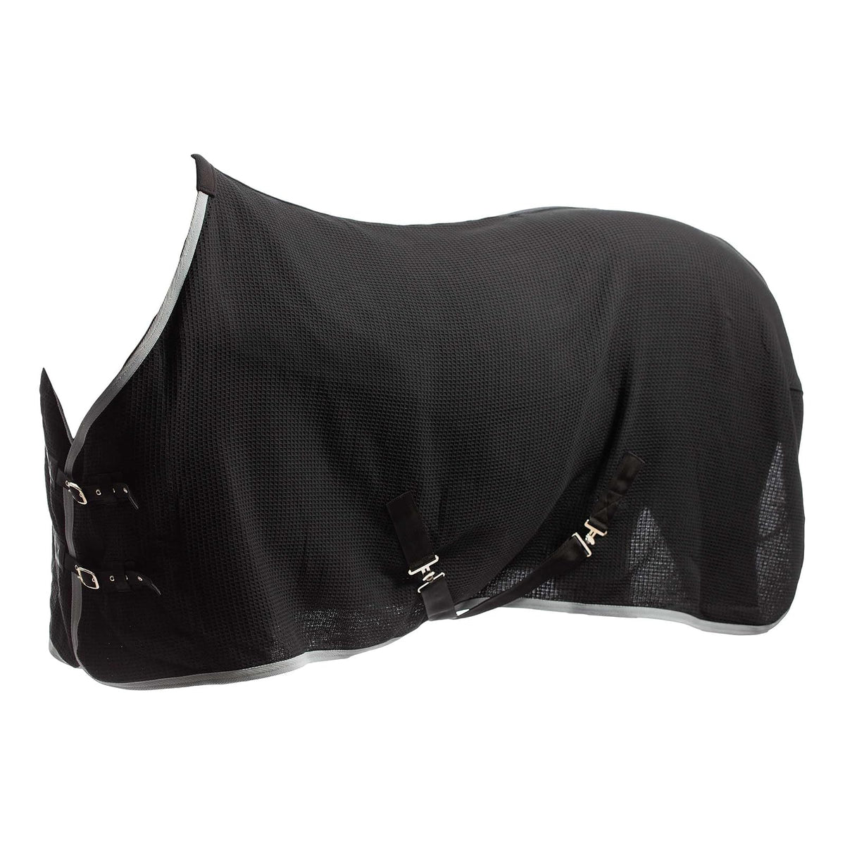 Equinavia Pet Apparel, 74 in, Black