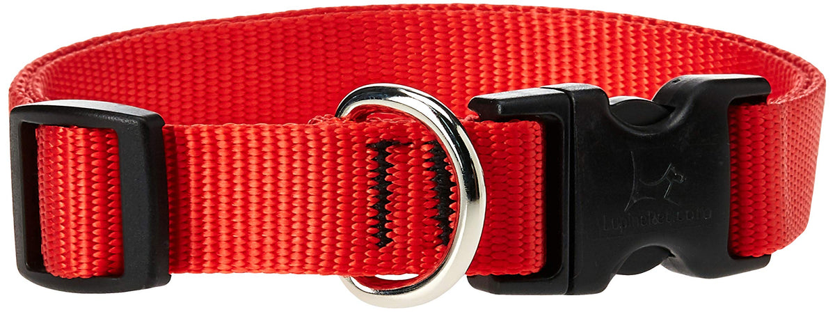 LupinePet Animal Collar