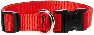 LupinePet Animal Collar