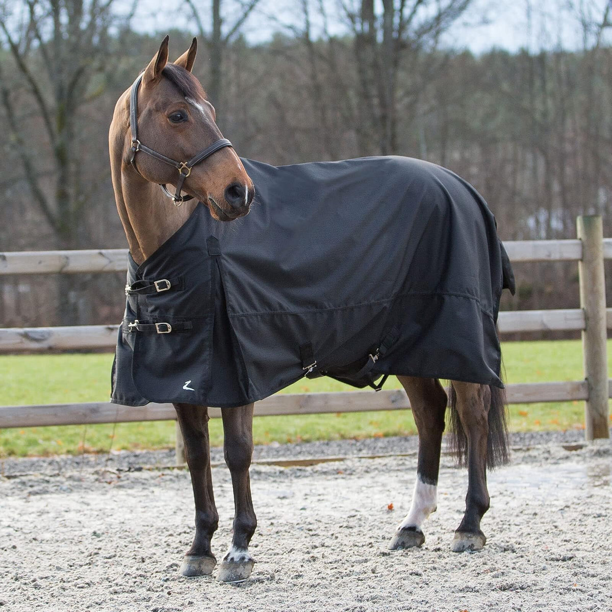 HORZE Pet Apparel, 72 in, Black