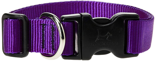 Lupine Pet Basics 1" Purple 16-28" Adjustable Collar for Large Dogs