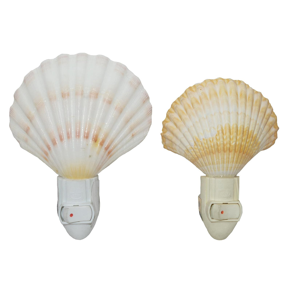 U.S. Shell Inc. Lamp