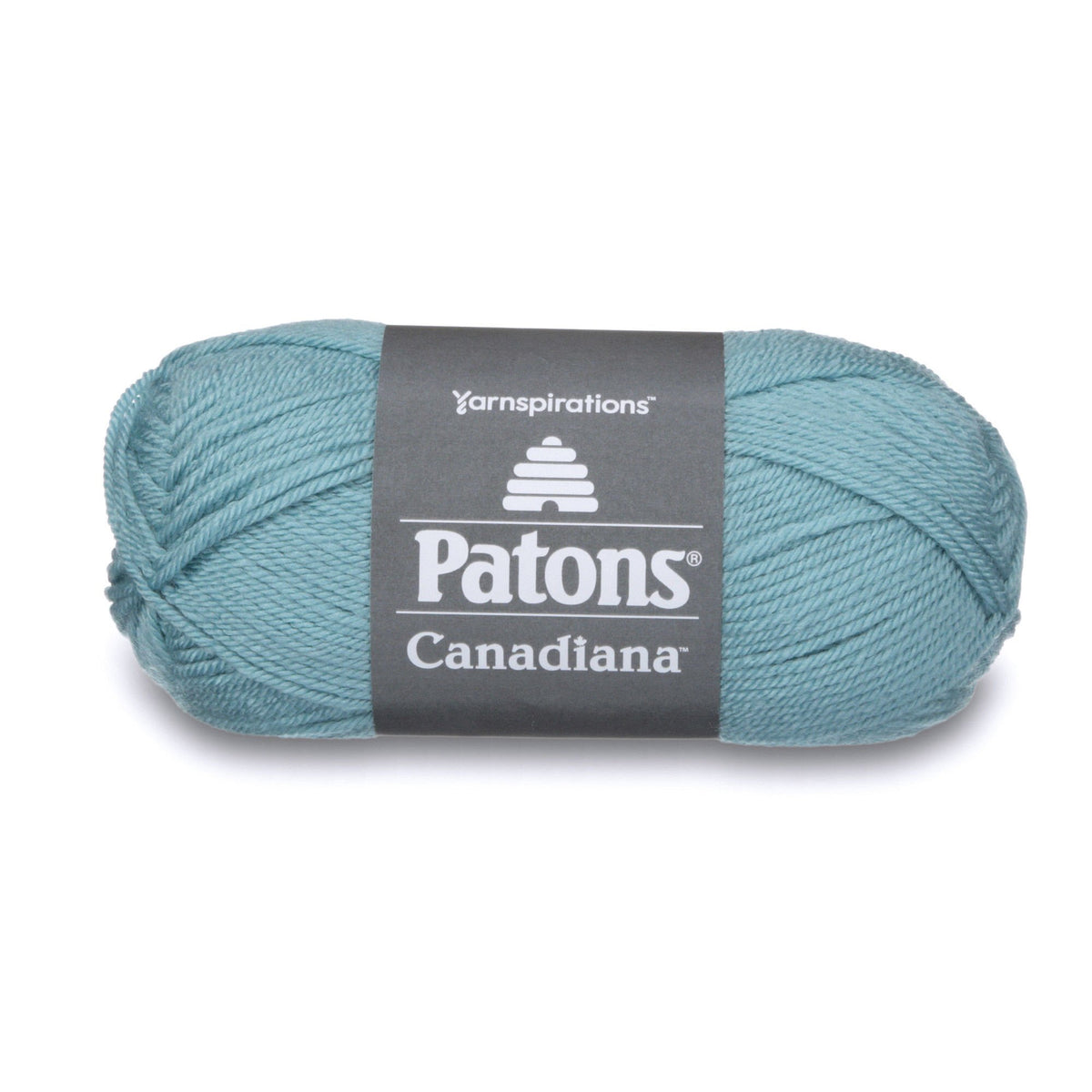 Patons Yarn, 3.5 oz, 205 yds, Pale Teal
