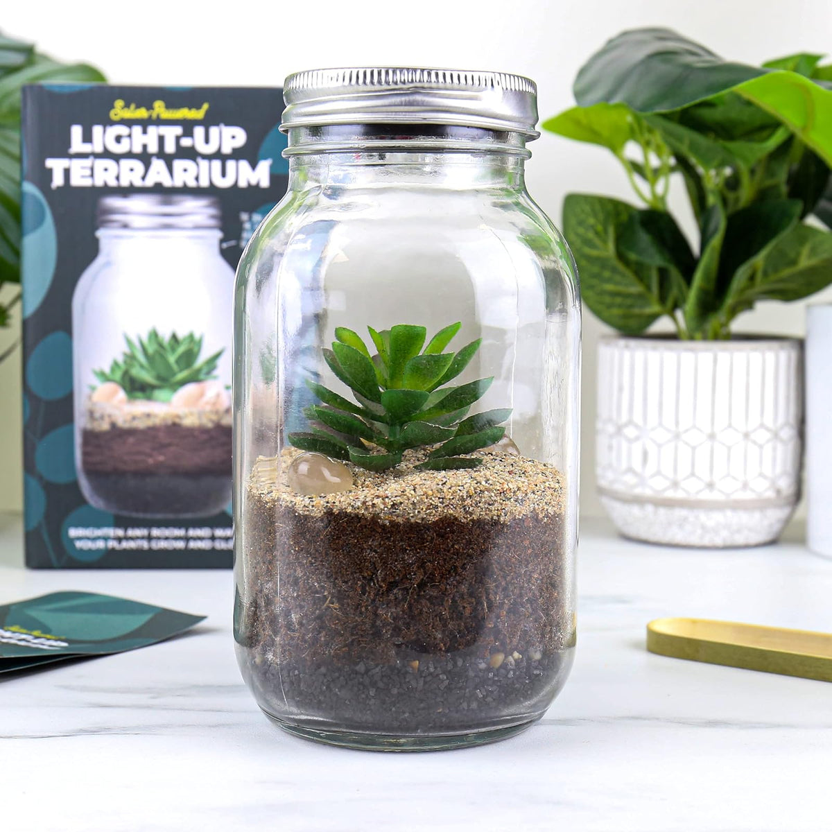 Gift Republic Vivarium, One Size, clear