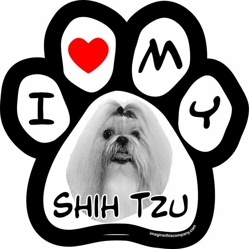 Imagine This 5-1/2-Inch by 5-1/2-Inch Car Magnet Picture Paw, Shih Tzu