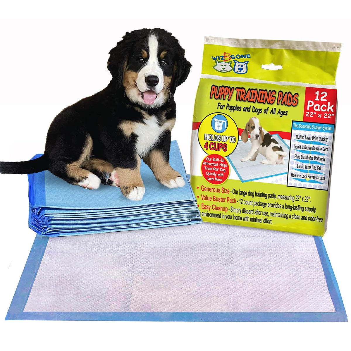 Scoochie Pet Products Disposable Incontinence Surface Protector, 1 Count (Pack o