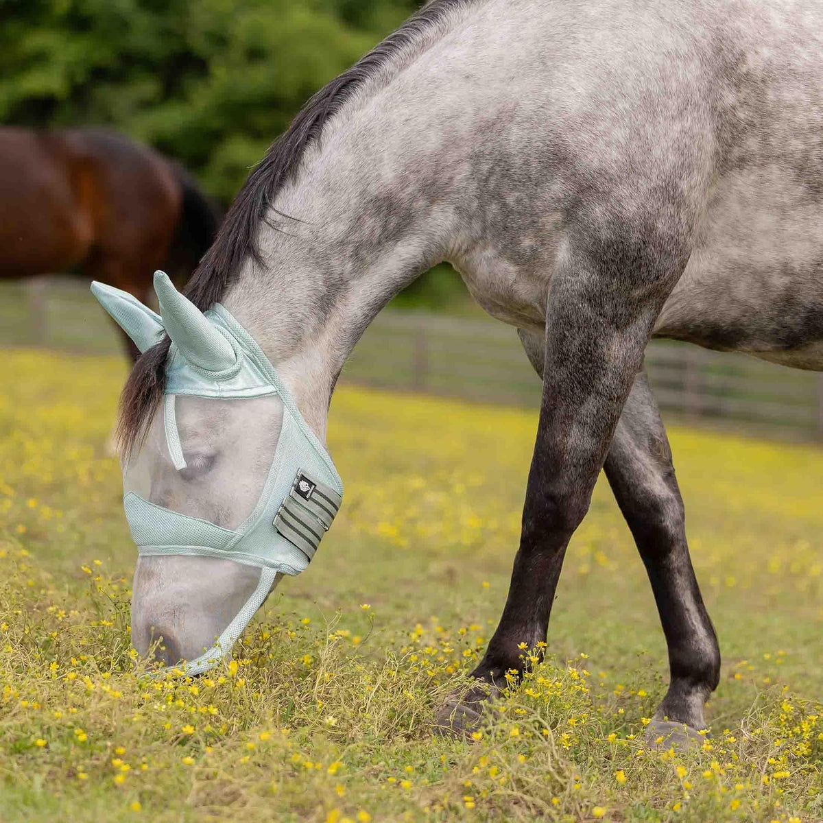 Equinavia Pet Pest Control, Horse, Misty Jade