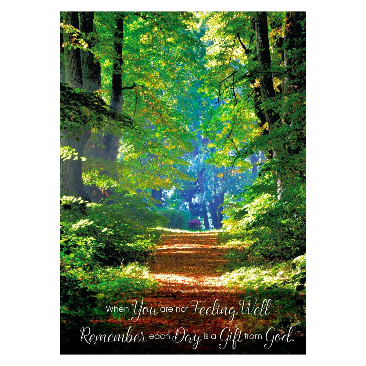 Divinity Boutique Greeting Card, green
