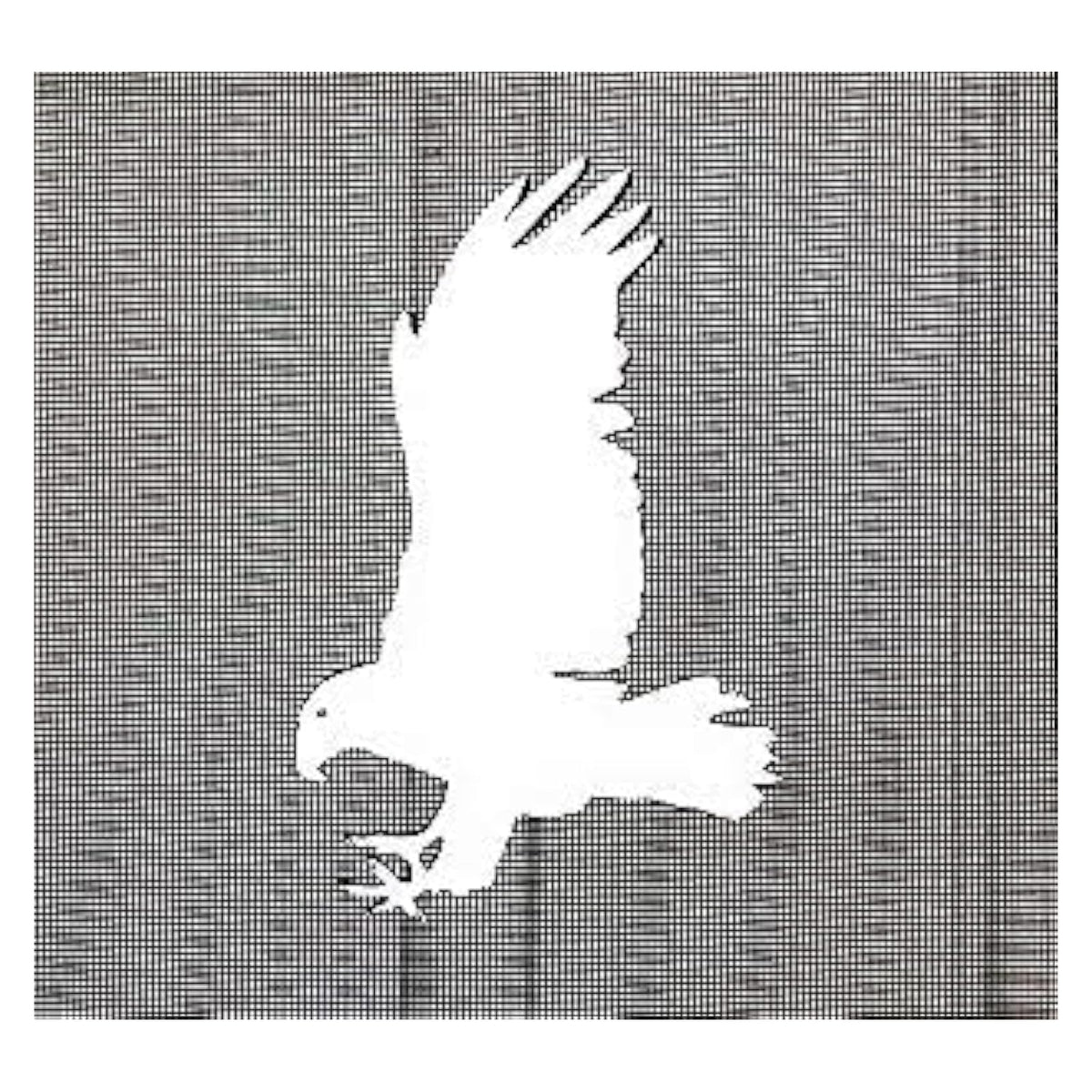 DCentral Decorative Magnet, 6" x 5.5", White
