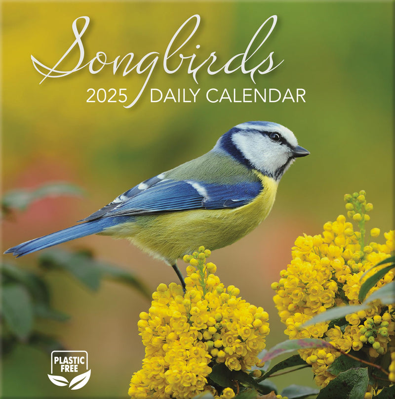 TURNER PHOTOGRAPHIC Songbirds Photo Box Calendars (25998053106)