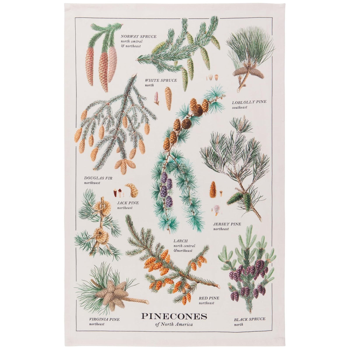 Now Designs Towel, W18 x L28in, Pinecones