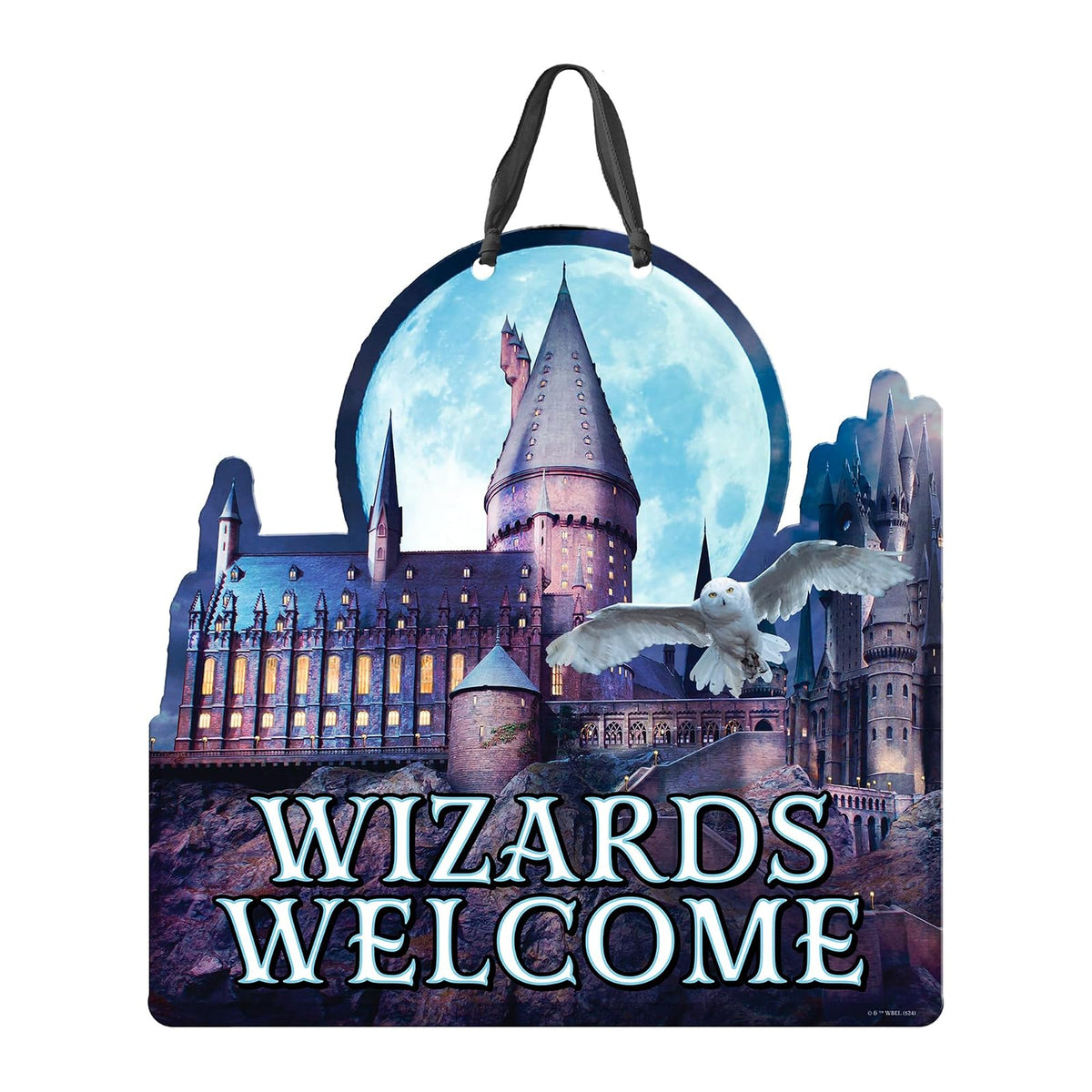 Spoontiques Decorative Signage, Wizards Welcome