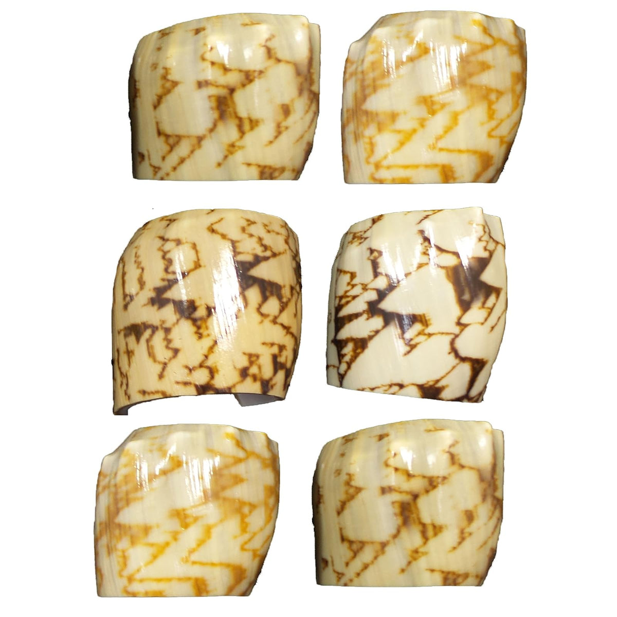U.S. Shell Inc. Napkin Ring