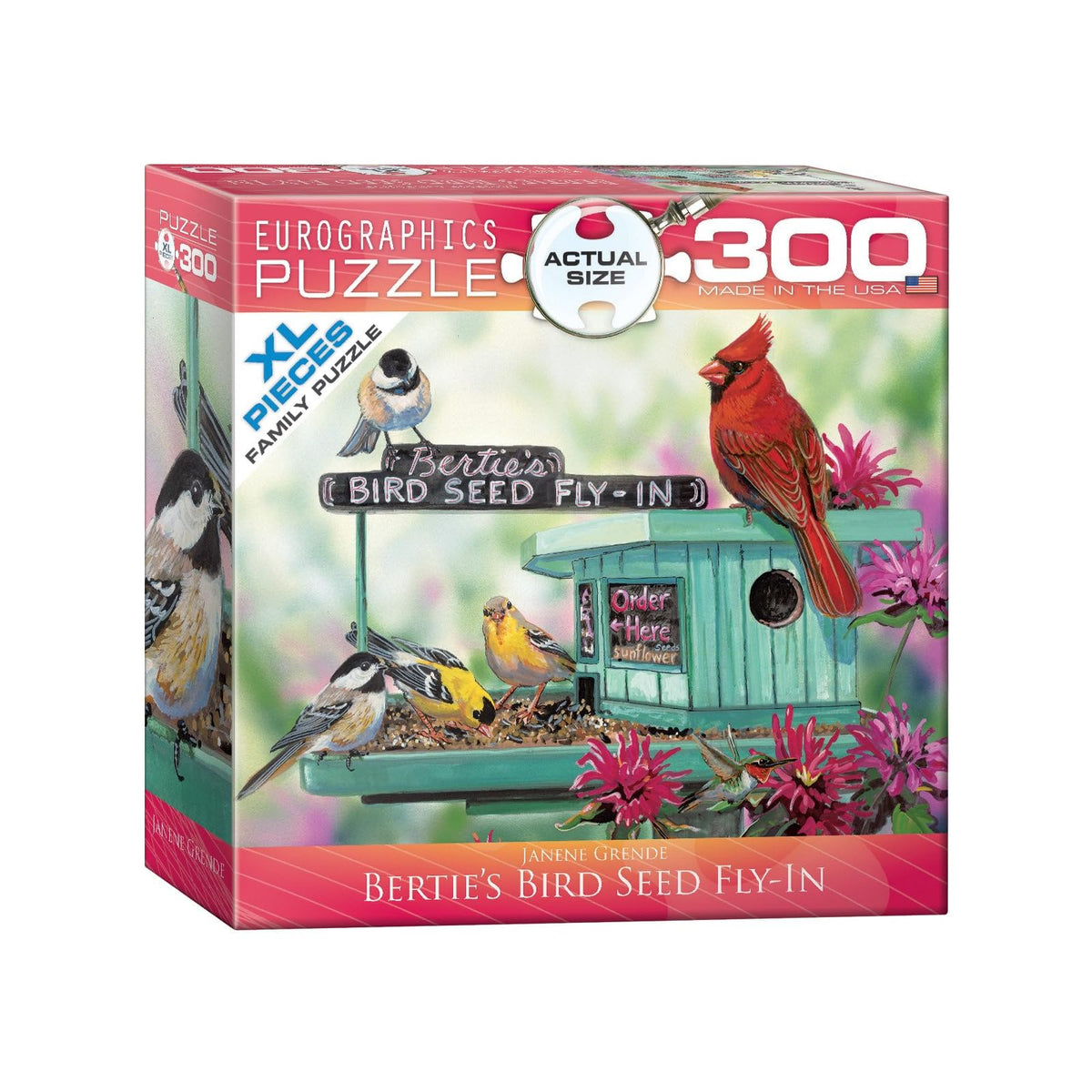 EuroGraphics Puzzles, 300 pieces, Multicolor