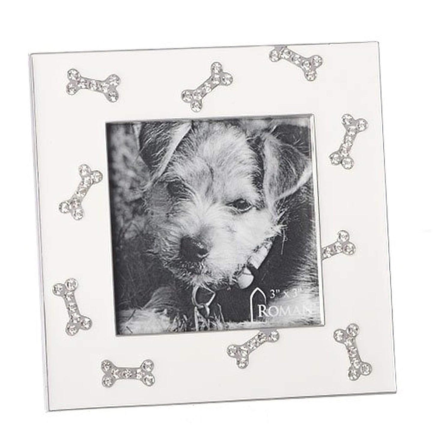 Roman Dog Jewel Tone Bone Bright Silver Tone Finish 4.5 x 4.5 Zinc Alloy Photo Frame