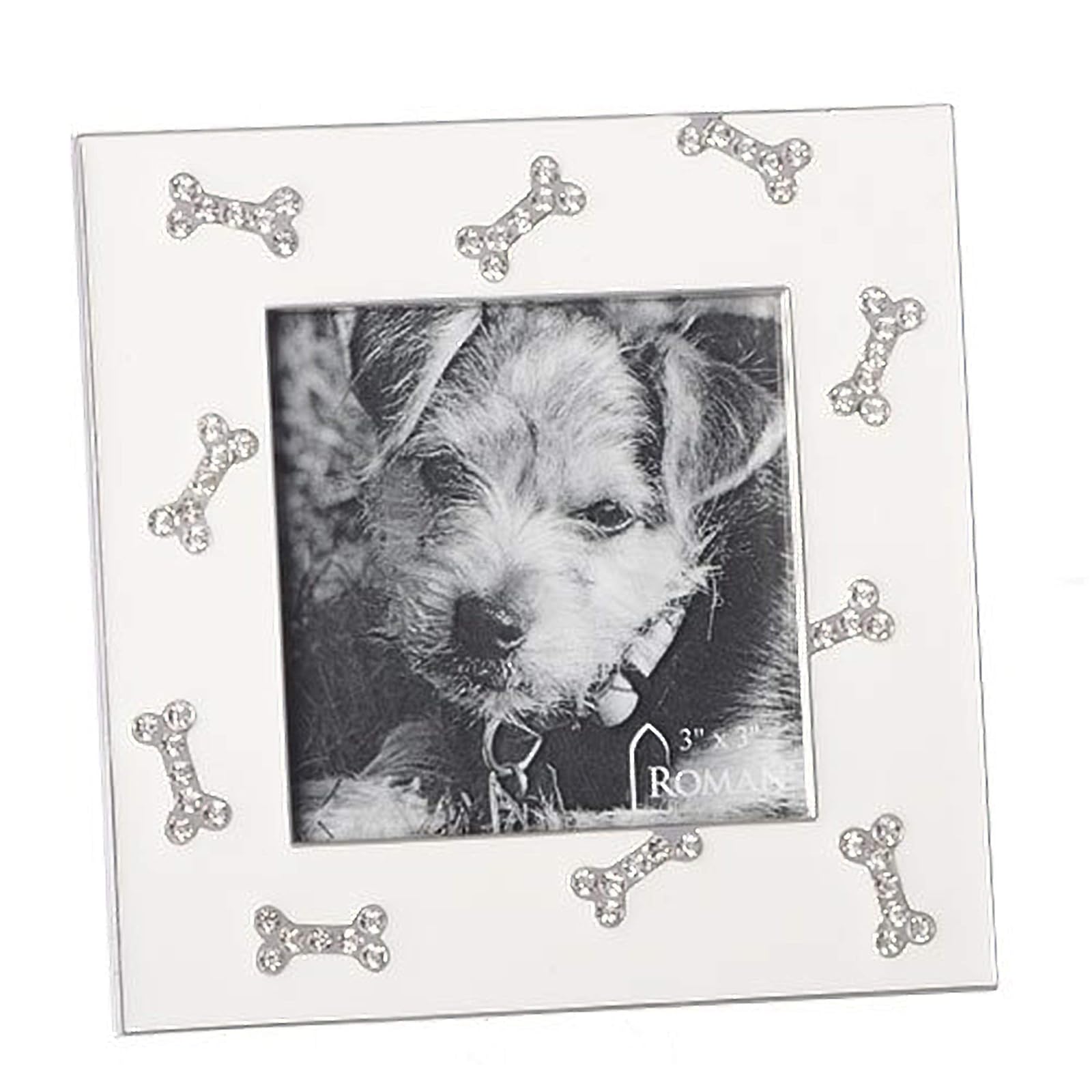 Roman Dog Jewel Tone Bone Bright Silver Tone Finish 4.5 x 4.5 Zinc Alloy Photo Frame