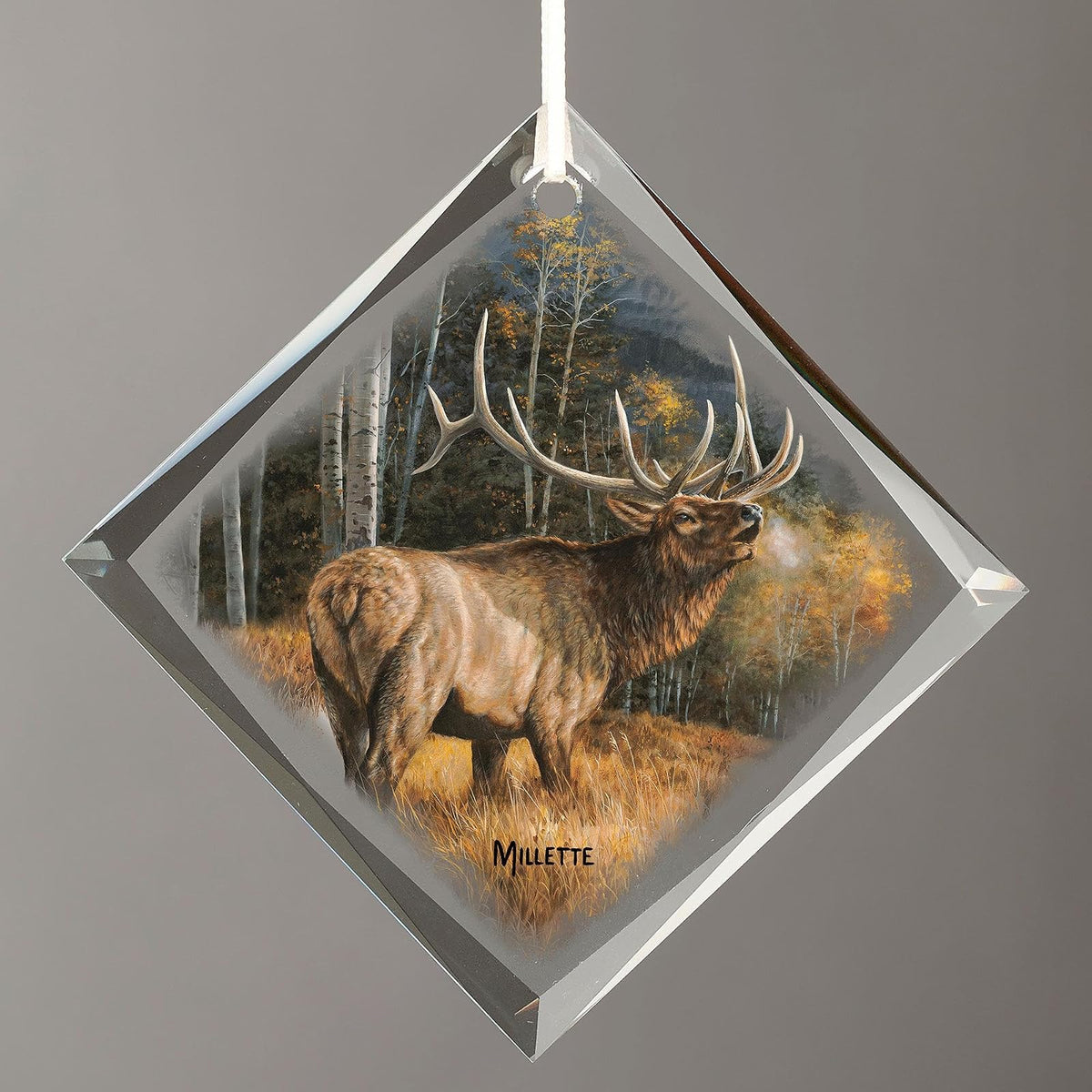 Wild Wings Hanging Ornament, Multi Color