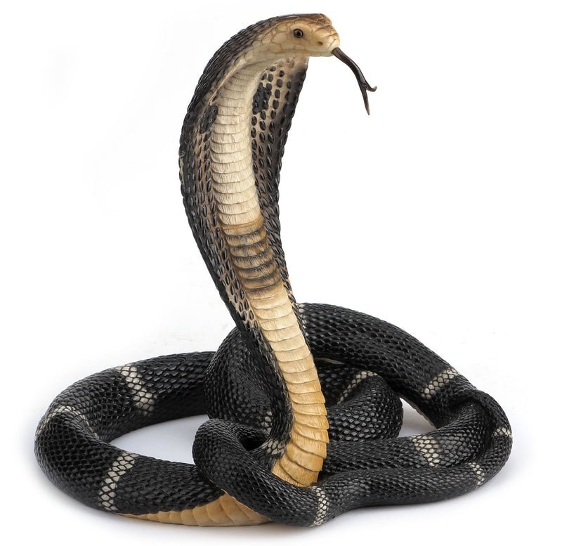 13 Inch Animal Figure Coiled King Cobra Snake Collectible Display