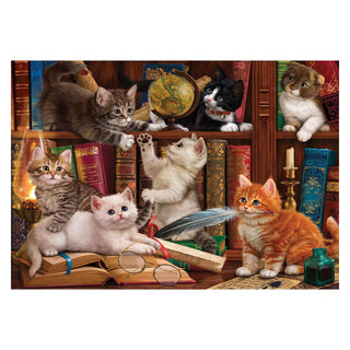 Anatolian Puzzles, 500, Kittens in the Library