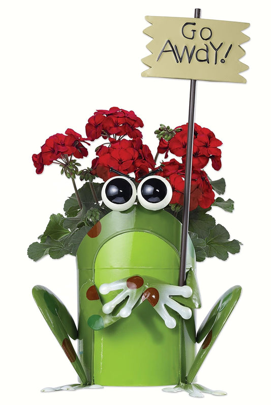 Sunset Vista - Get Happy Frog Planter
