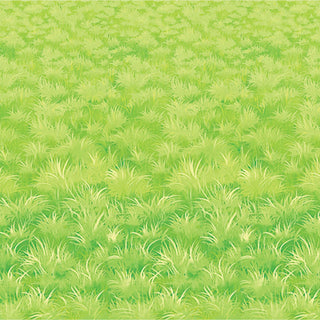 Beistle Printed Plastic Green Meadow Grass Photography Backdrop Princess Theme Decorations Birthday Party Photo Booth Background, 4' x 30'