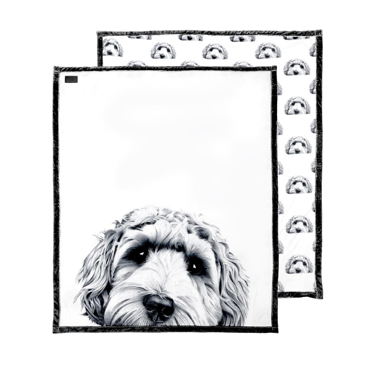 Pavilion Gift Company Blanket, 50" x 60", White, Black