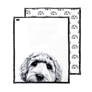 Pavilion Gift Company Blanket, 50" x 60", White, Black
